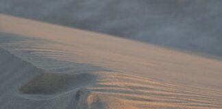 Czy koci katar sam przejdzie? Czy koci katar sam przejdzie?