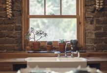 Jak stosować czosnek w akwarium? Jak stosować czosnek w akwarium?