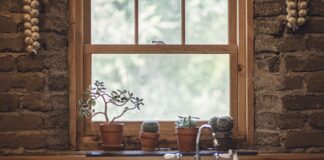 Jak stosować czosnek w akwarium? Jak stosować czosnek w akwarium?