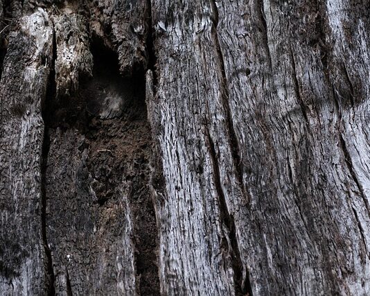 Jak zrobić napowietrzanie w akwarium? Jak zrobić napowietrzanie w akwarium?