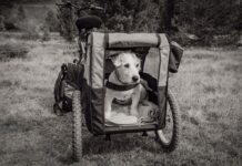 Jaka przyczepka Thule? Jaka przyczepka Thule?