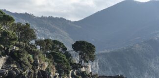 Ile kosztuje pokarm dla ryb? Ile kosztuje pokarm dla ryb?