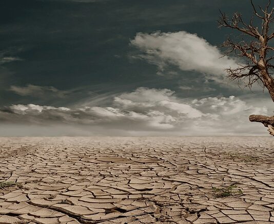 Jak długo może stać otwarta Sucha karma dla psa? Jak długo może stać otwarta Sucha karma dla psa?