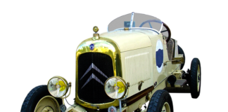 Ile B12 dla psa? Ile B12 dla psa?