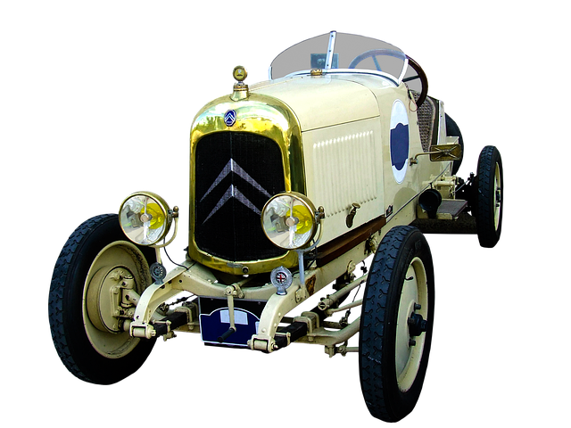 Ile B12 dla psa? Ile B12 dla psa?