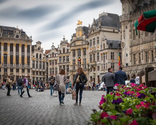 Z czego zrobić grotę dla glonojada? Z czego zrobić grotę dla glonojada?