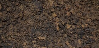 Jak zrobić zalewę octową do cukinii? Jak zrobić zalewę octową do cukinii?