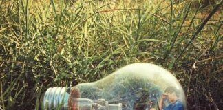 Kiedy kota boli brzuch? Kiedy kota boli brzuch?