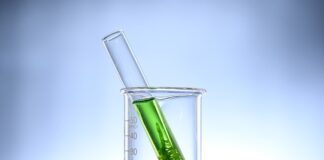 Co zrobić żeby w akwarium nie było glonów? Co zrobić żeby w akwarium nie było glonów?