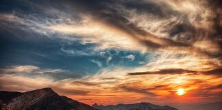 W jakich godzinach światło w akwarium? W jakich godzinach światło w akwarium?