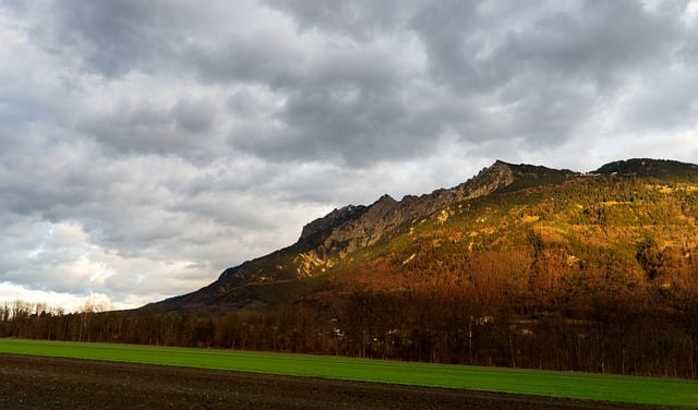 Jak ustawić cyrkulację wody w akwarium? Jak ustawić cyrkulację wody w akwarium?