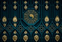 Co zamiast suchej karmy dla kota? Co zamiast suchej karmy dla kota?