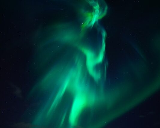 Jak dostarczyć tlen do akwarium? Jak dostarczyć tlen do akwarium?