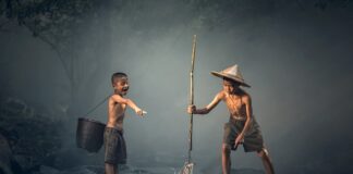 Ile może stać ryba w zalewie pomidorowej?