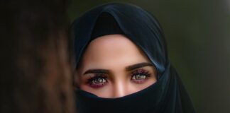 Czy welon jest agresywny? Czy welon jest agresywny?