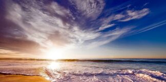 W czym pomaga picie soku pomidorowego? W czym pomaga picie soku pomidorowego?