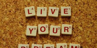 Jak wzmocnić psy? Jak wzmocnić psy?