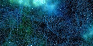 Jaki owoc zabija komórki rakowe? Jaki owoc zabija komórki rakowe?