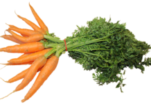 Co można zrobić z dużą ilością marchewki? Co można zrobić z dużą ilością marchewki?