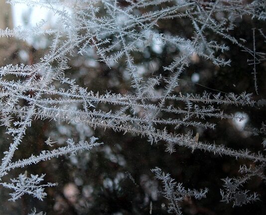 Czy można mrozić mokra karmę? Czy można mrozić mokra karmę?