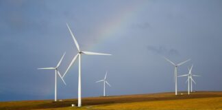 Co to jest generator pary? Co to jest generator pary?