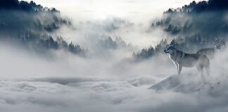 Jak zrobić porę na zimę? Jak zrobić porę na zimę?