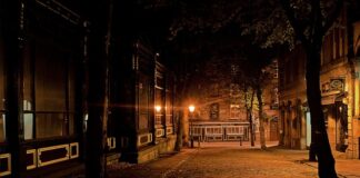 Co daje lampa w akwarium? Co daje lampa w akwarium?